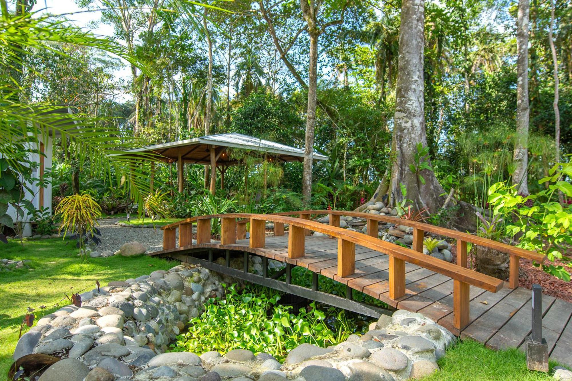 Dragonfly Beachfront Villas-Adult Only Punta Uva Esterno foto