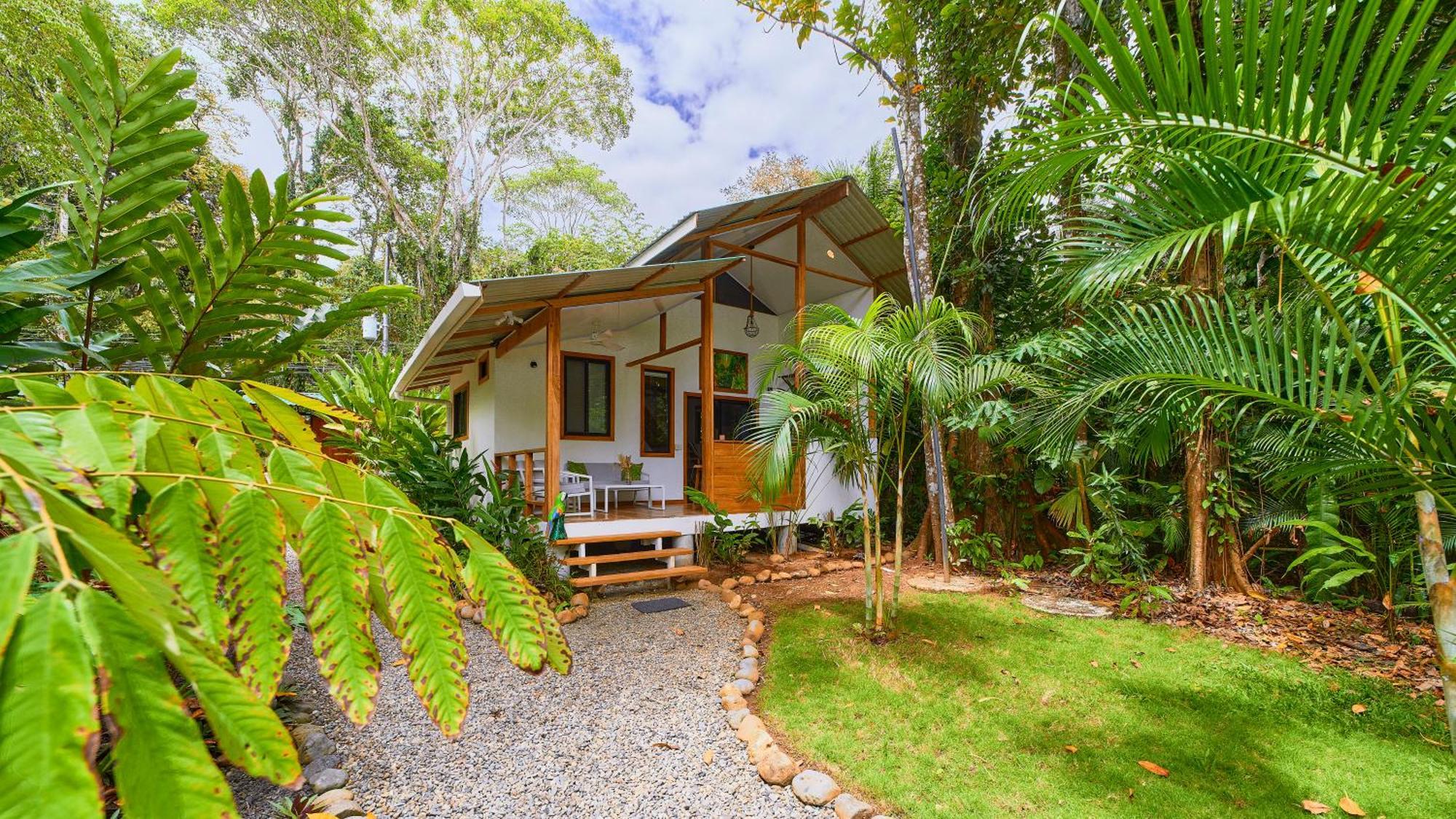 Dragonfly Beachfront Villas-Adult Only Punta Uva Esterno foto