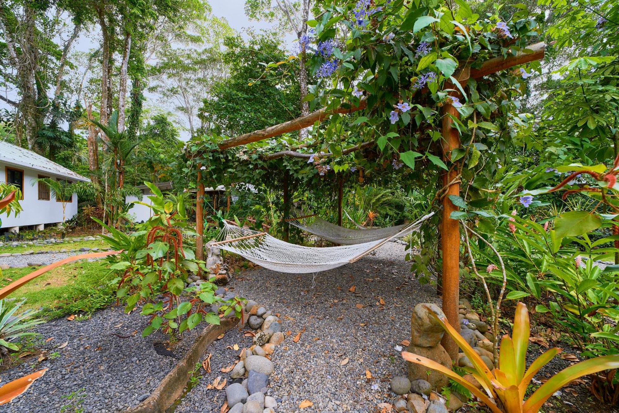 Dragonfly Beachfront Villas-Adult Only Punta Uva Esterno foto
